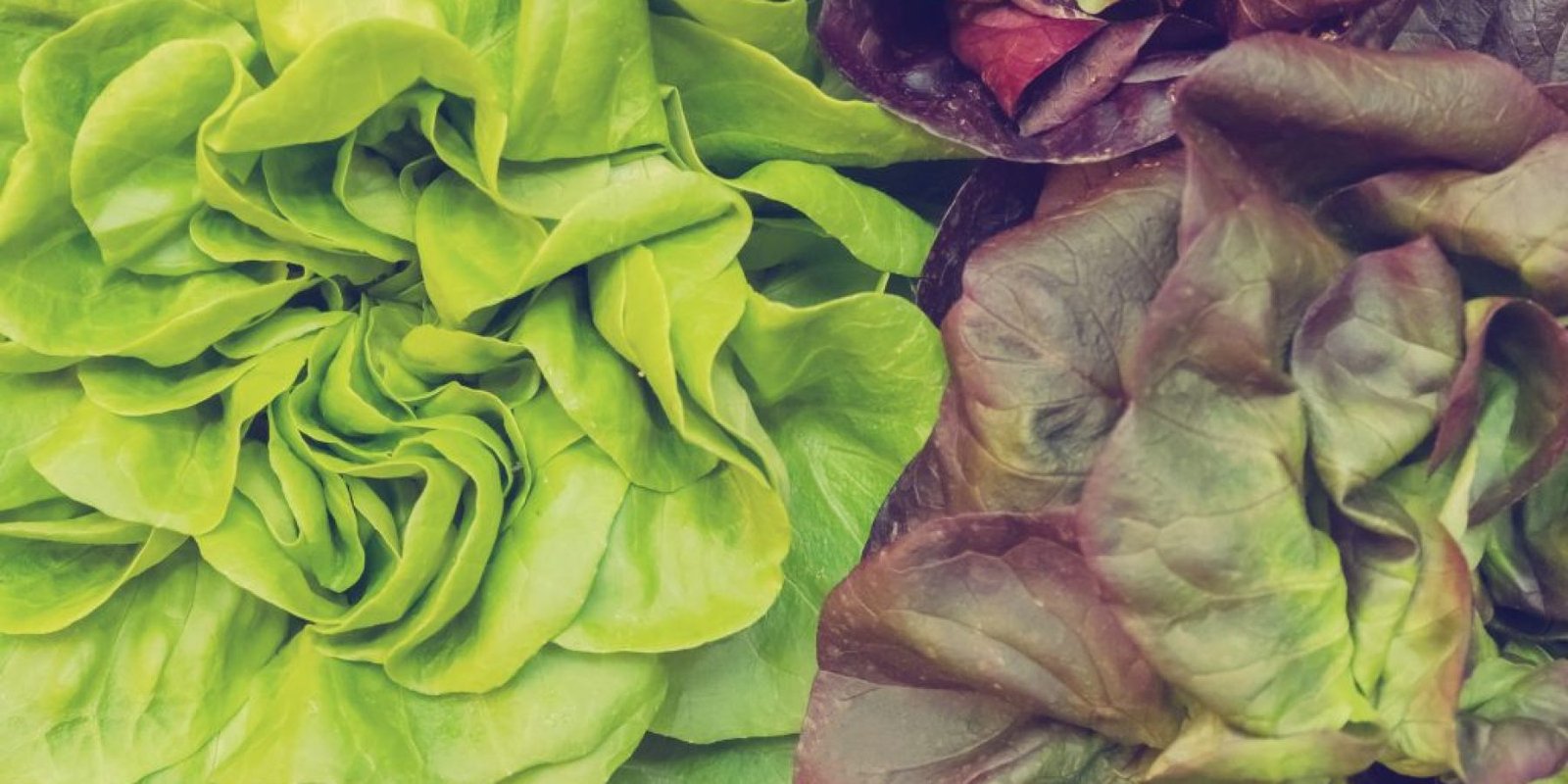 maroyli vitamines apoleia varoys 1024x683 jpg