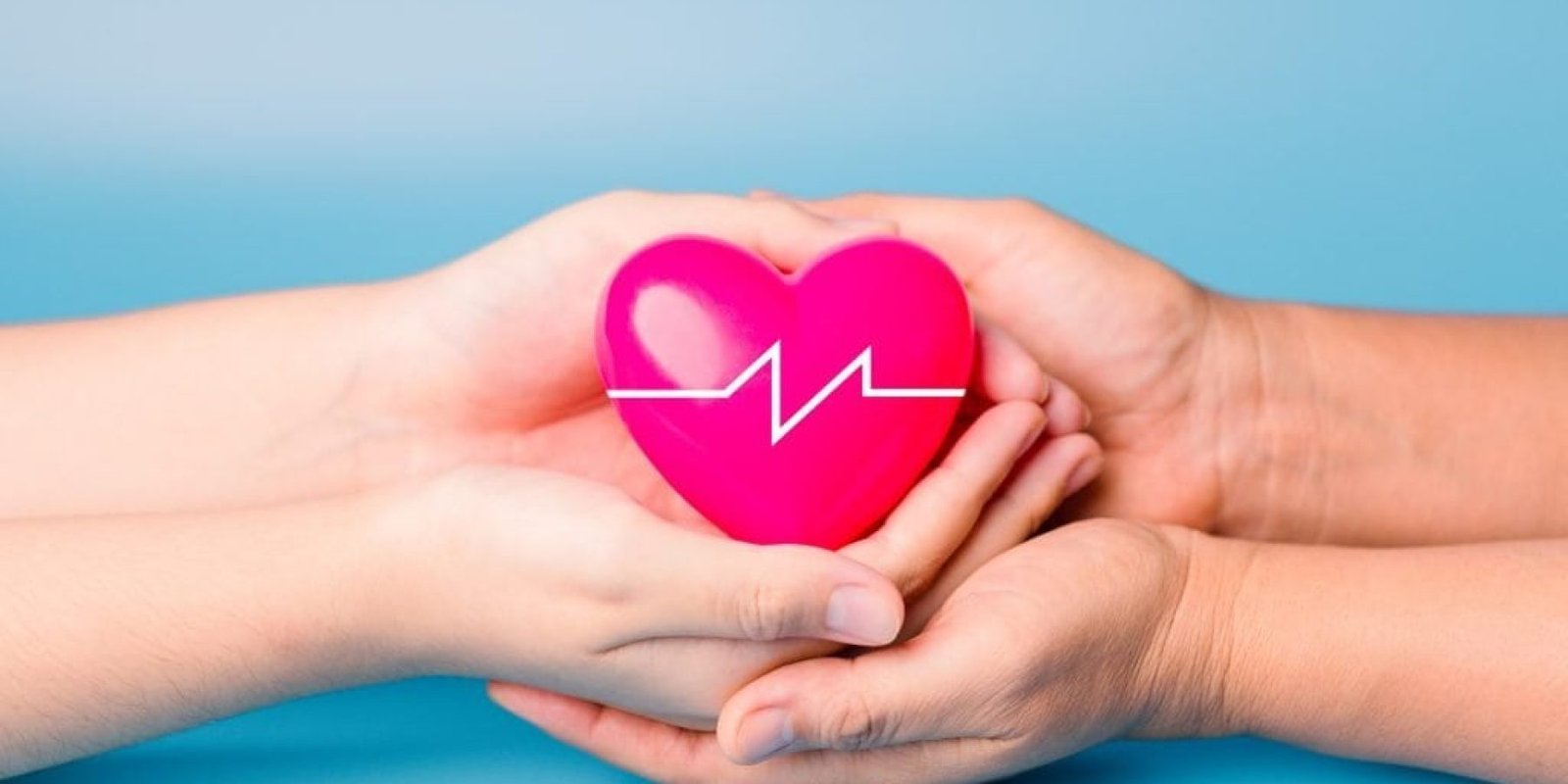 metamoschefti nekri kardia 1 1024x683 jpg