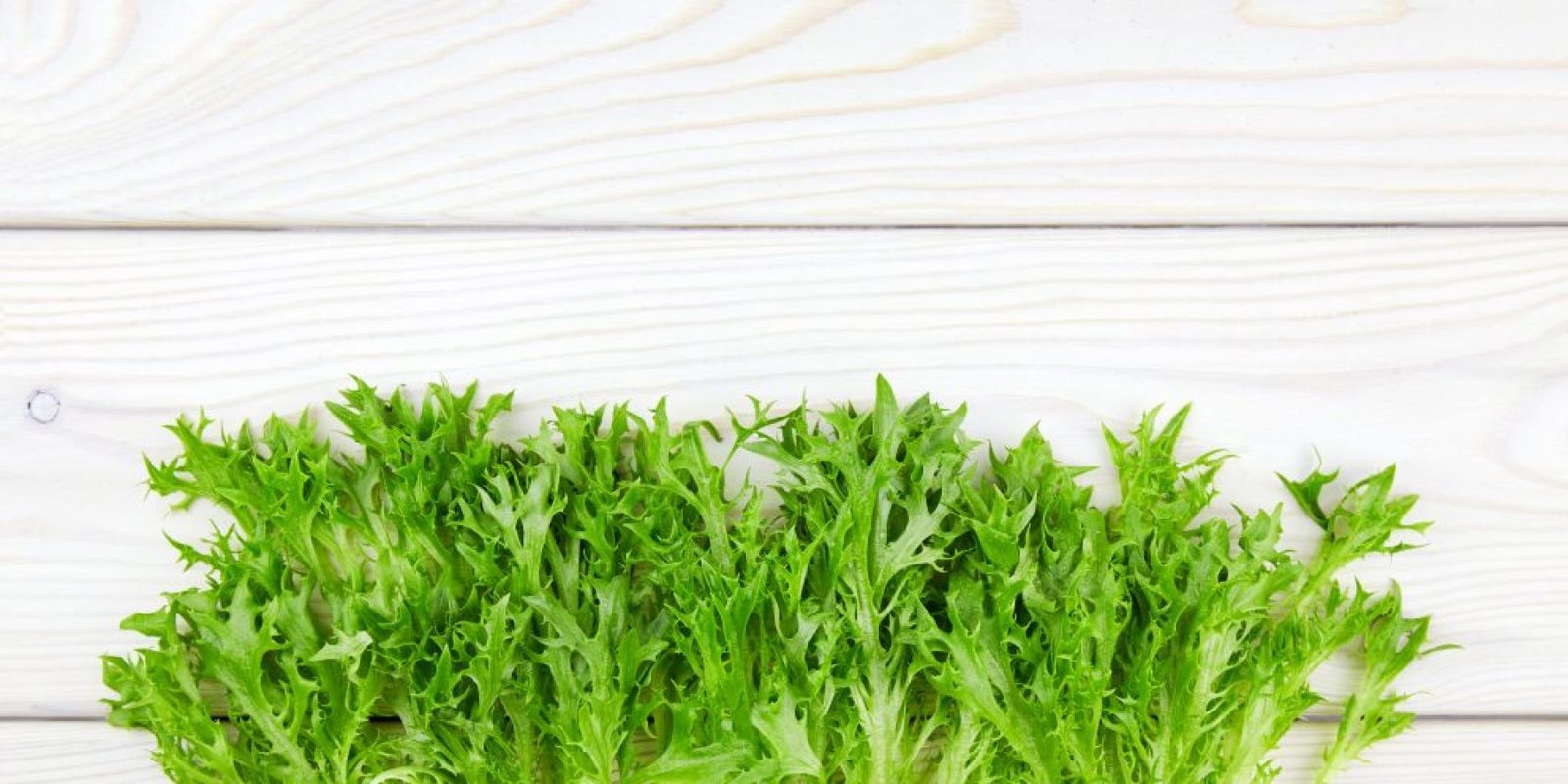 mizuna matia anosopoiitiko osta 1024x683 jpg