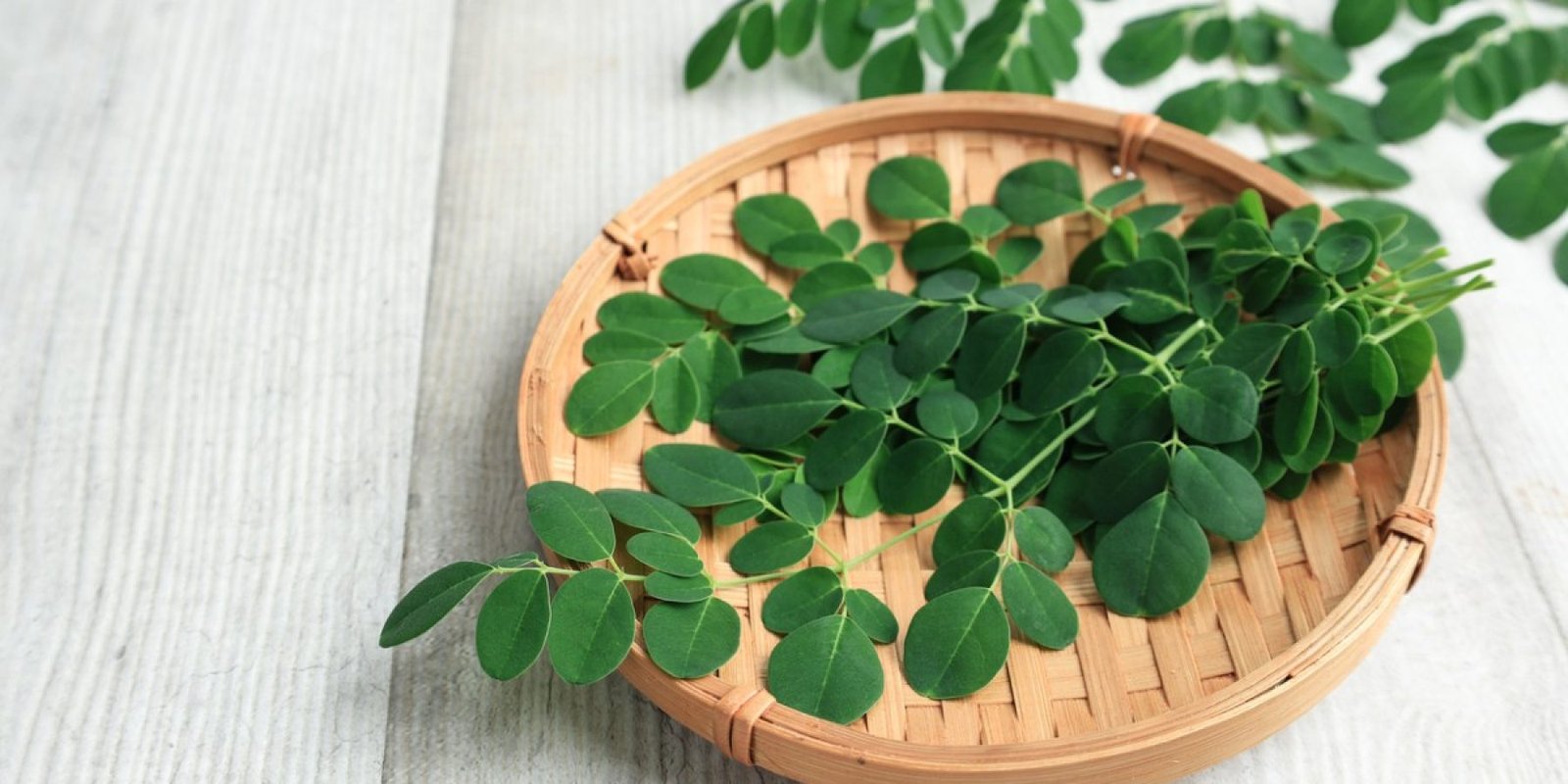 moringa jpg