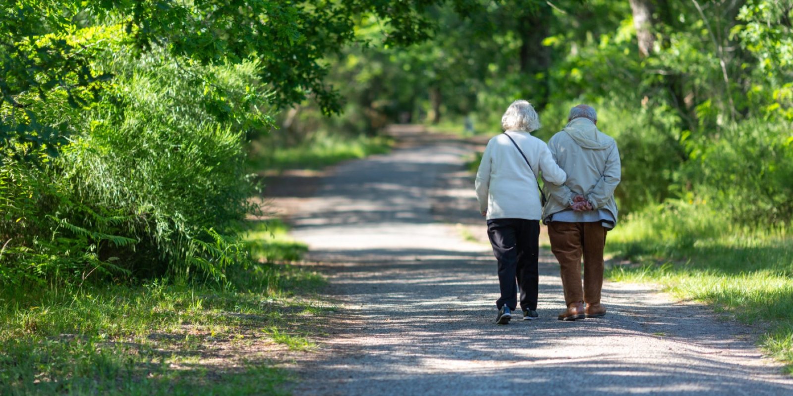 old couple walking shutterstock 2645702767 jpg
