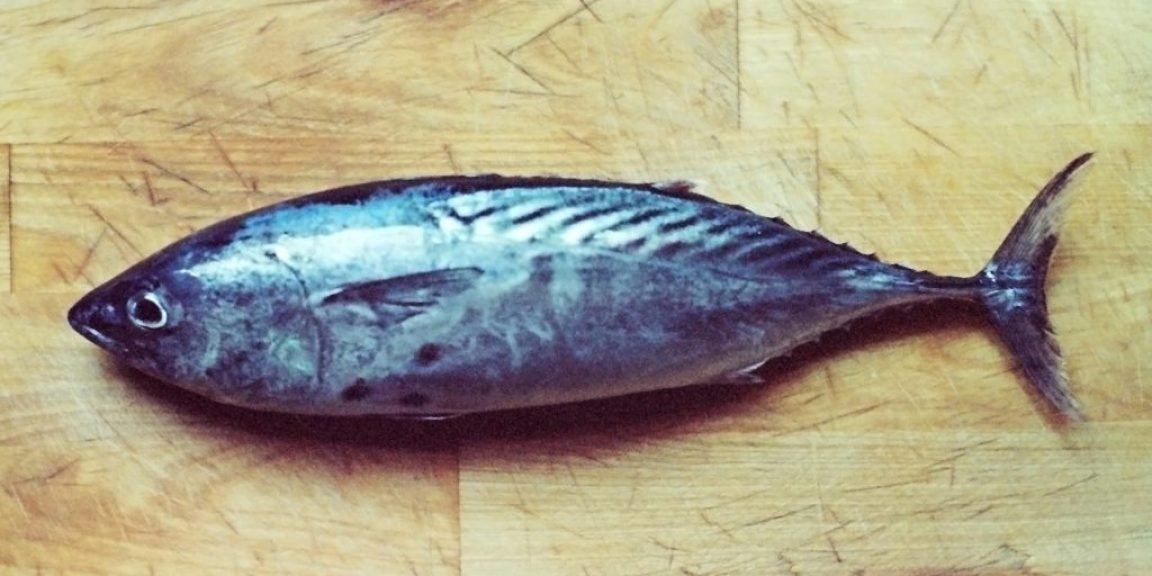 palamida antioxeidotika anosopoiitiko 1024x679 jpg