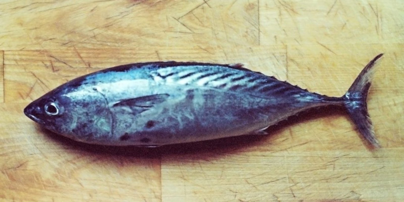 palamida antioxeidotika anosopoiitiko 1024x679 jpg