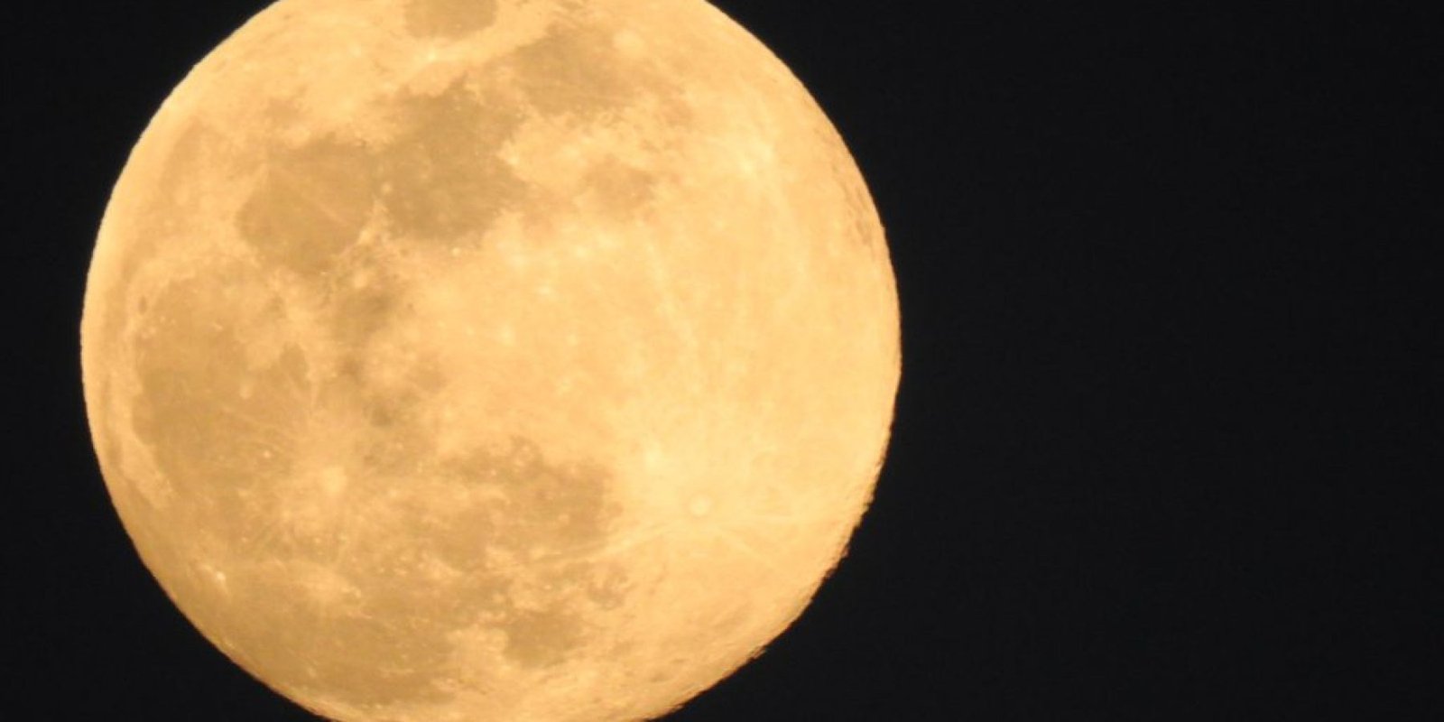 panselinos aygoystoy 2 e1753452736813 1024x639 jpg