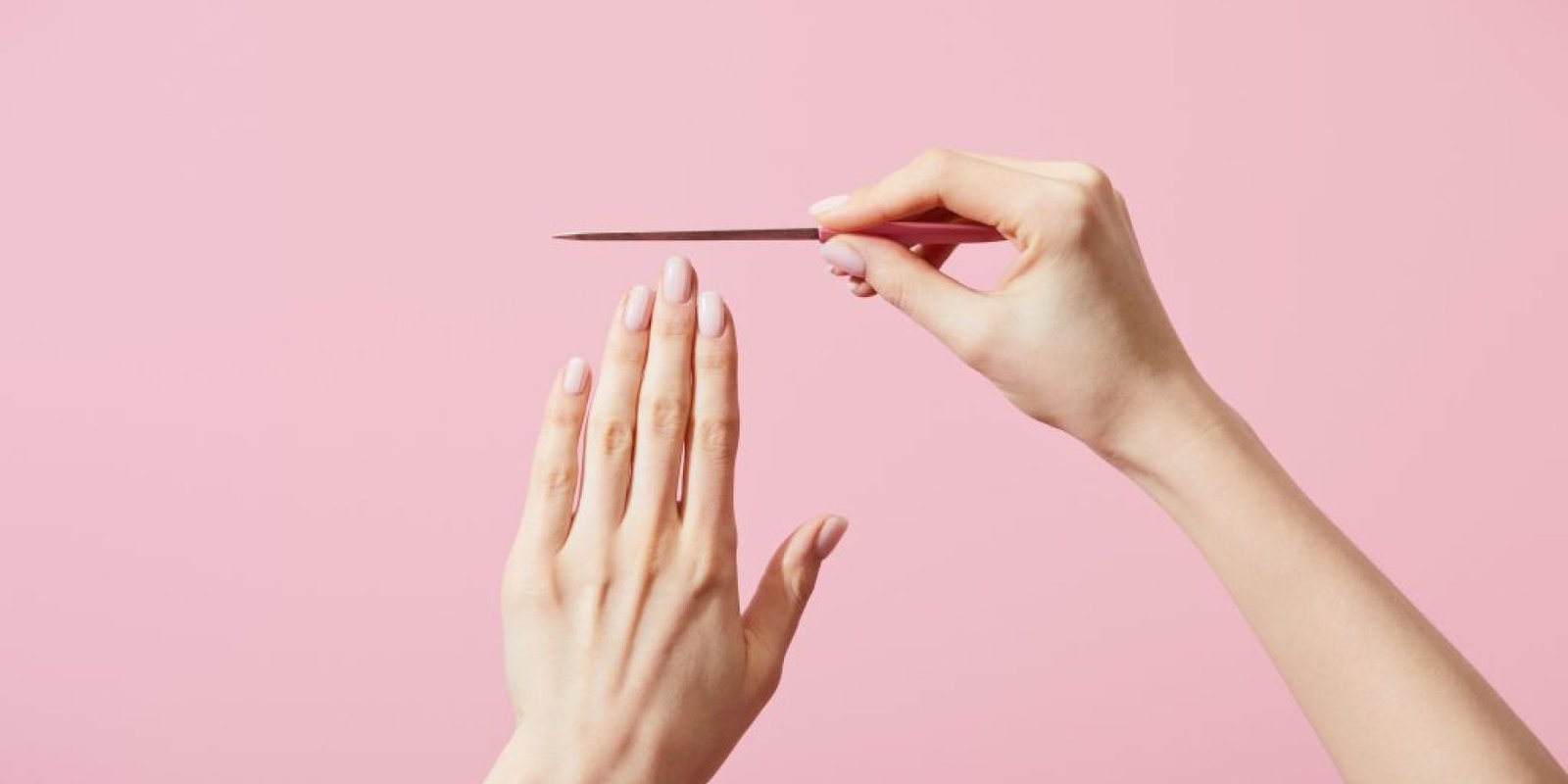 petsakia nixia 1024x683 jpg