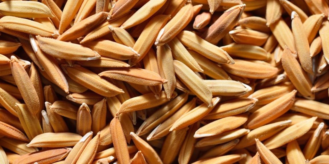 pitoyro ryzioy anosopoiitiko varos 1024x683 jpg