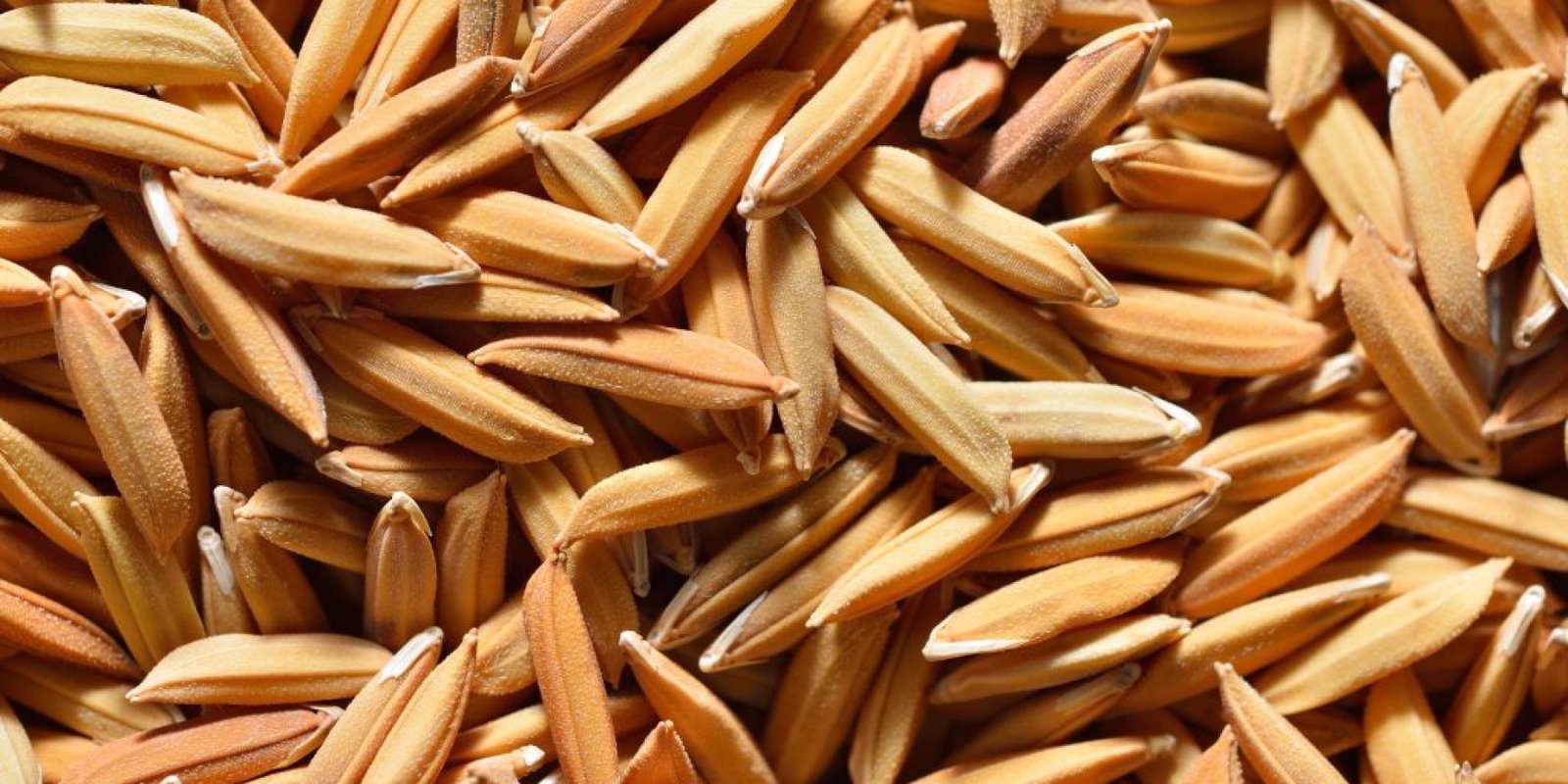 pitoyro ryzioy anosopoiitiko varos 1024x683 jpg