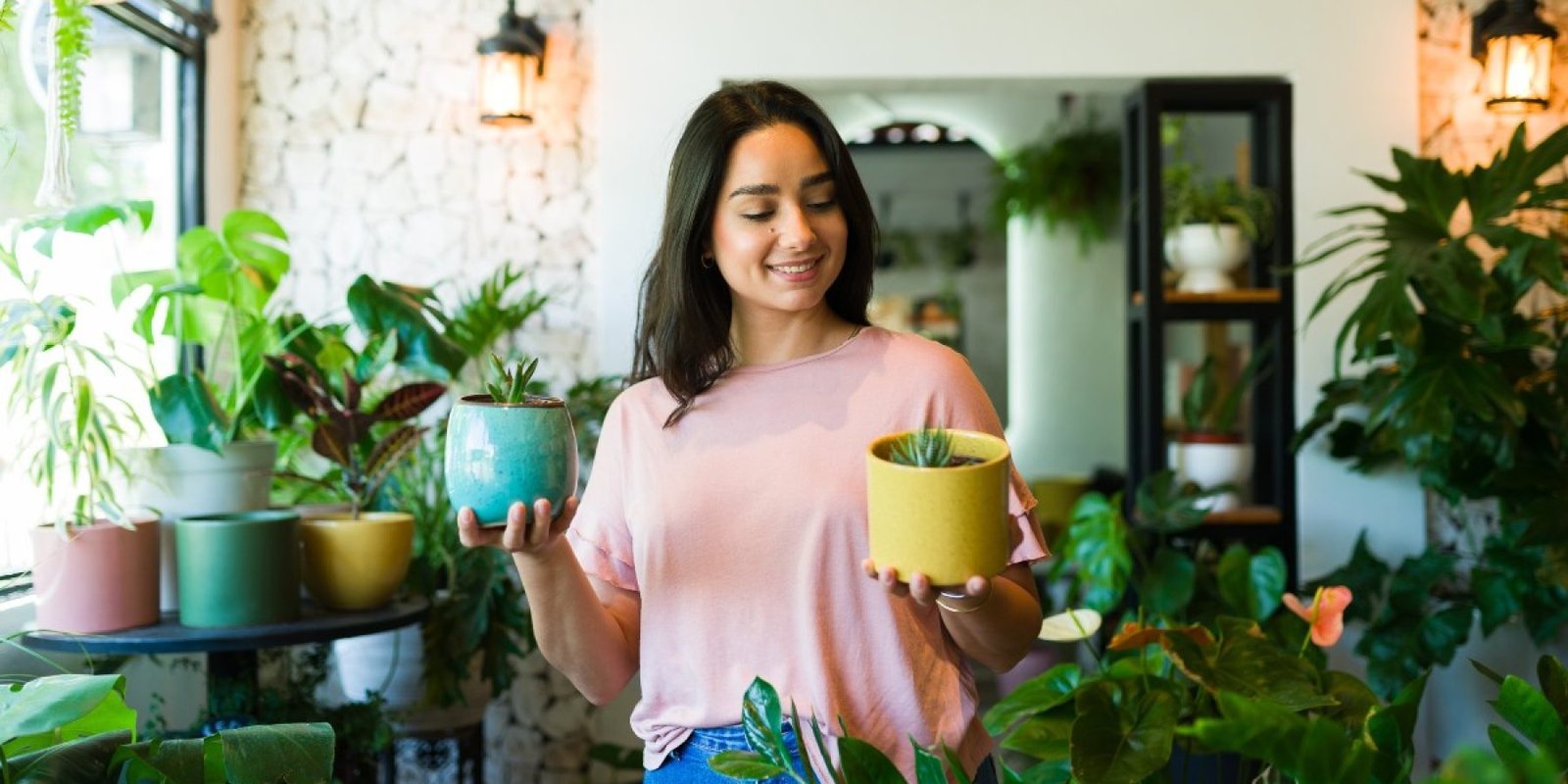 plant 2488719639 jpg