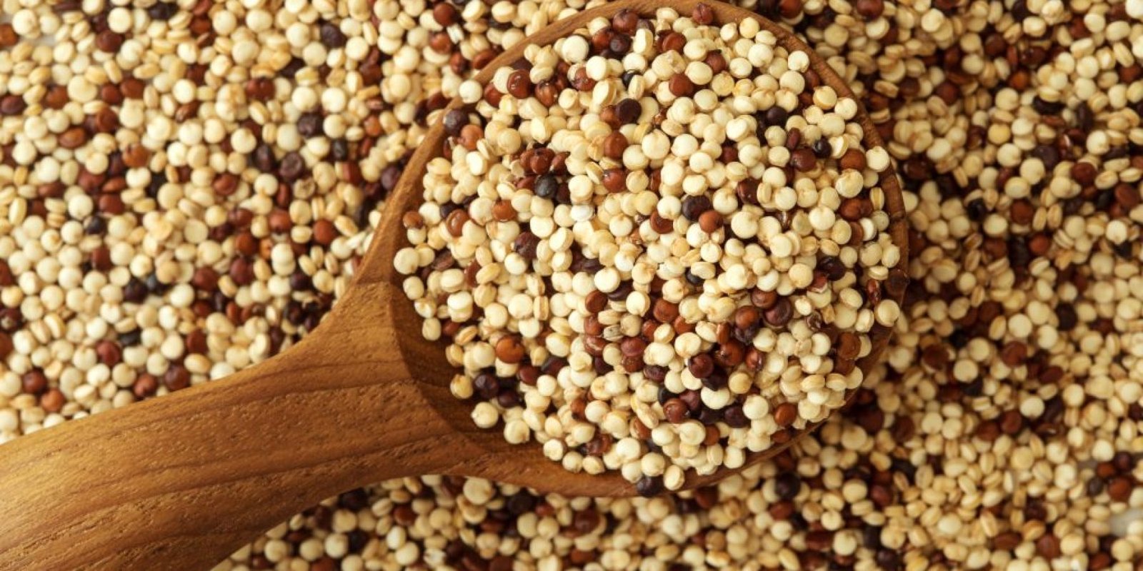 quinoa kardia myes 1024x683 jpg