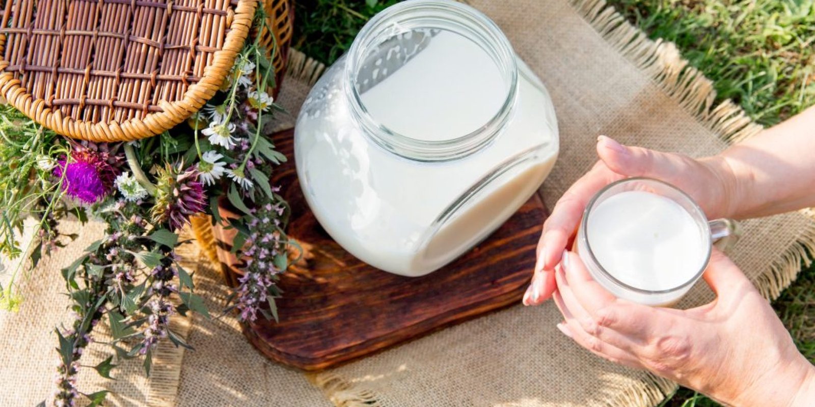 rofima kaykaso osteoporosi karkino threptiko 1024x683 jpg