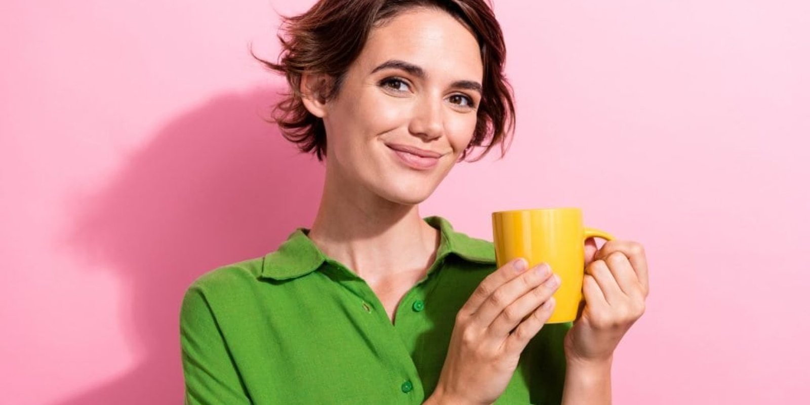 rofima tsai anoia 1024x683 jpg