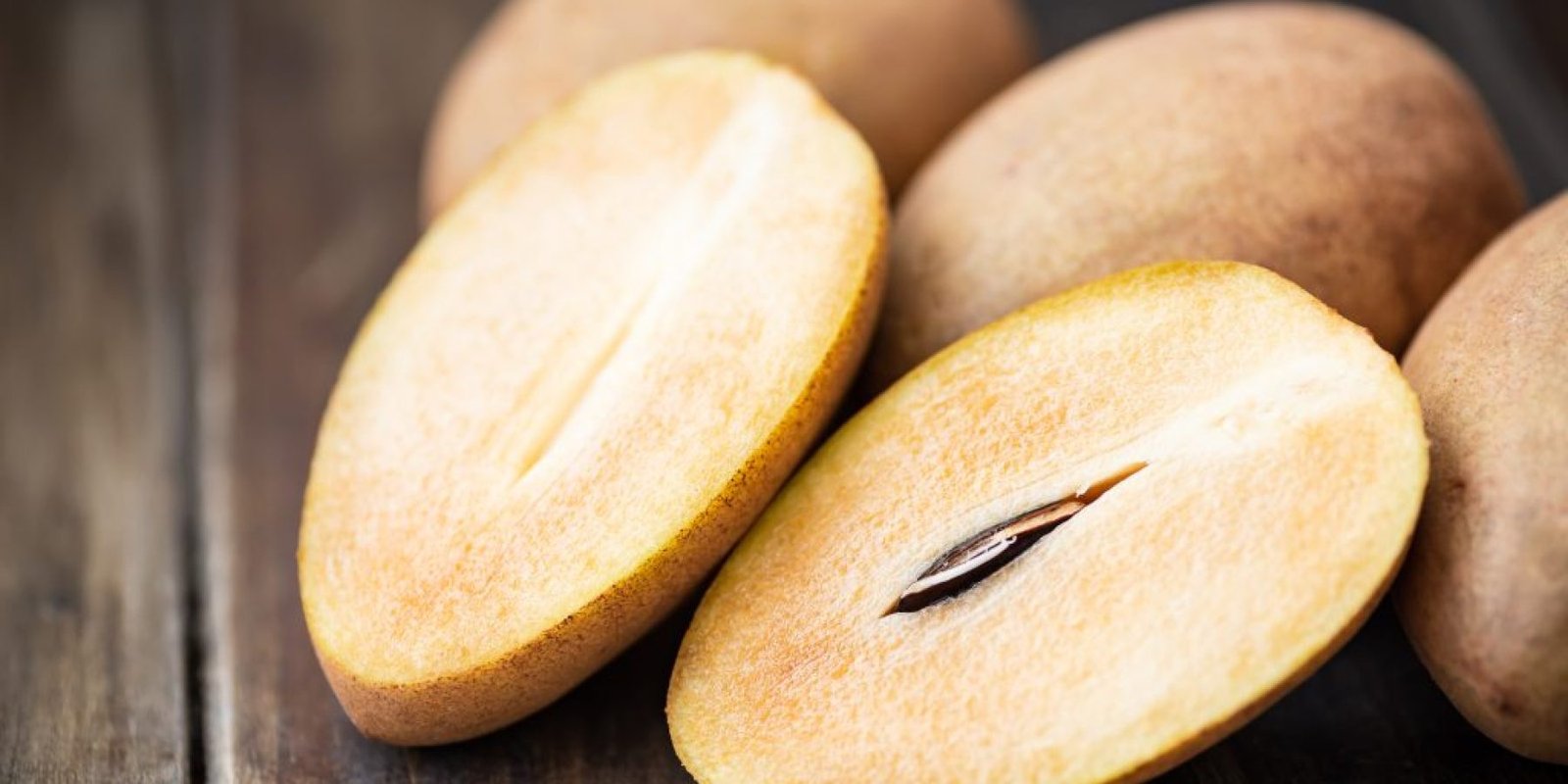 sapodilla ines aktinovolia 1024x683 jpg