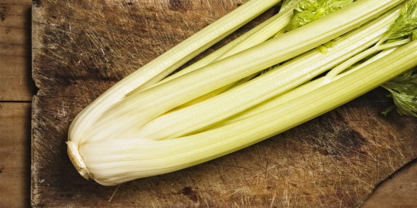 selino choneysi flegmoni 1024x681 jpg