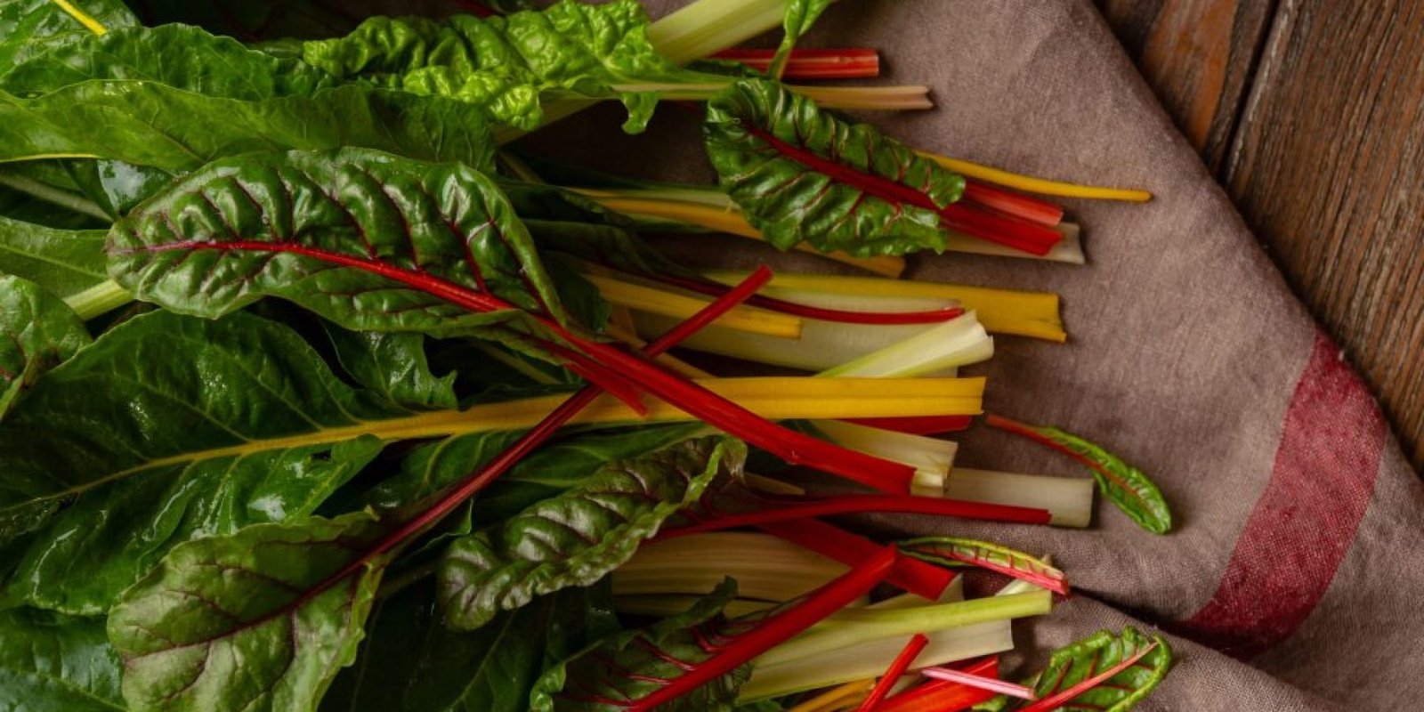 seskoylo osteoporosi ypertasi 1024x683 jpg