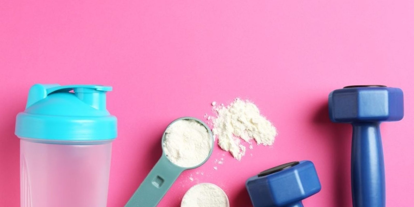 skoni proteinis harvard 1024x683 jpg