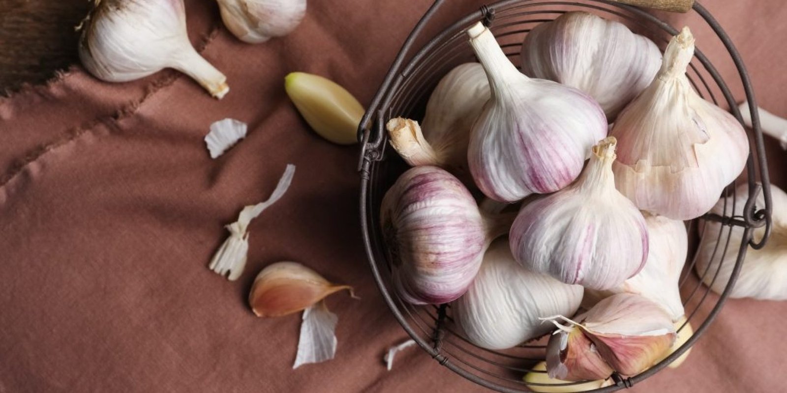 skordo piesi cholisterini anoia 1024x683 jpg