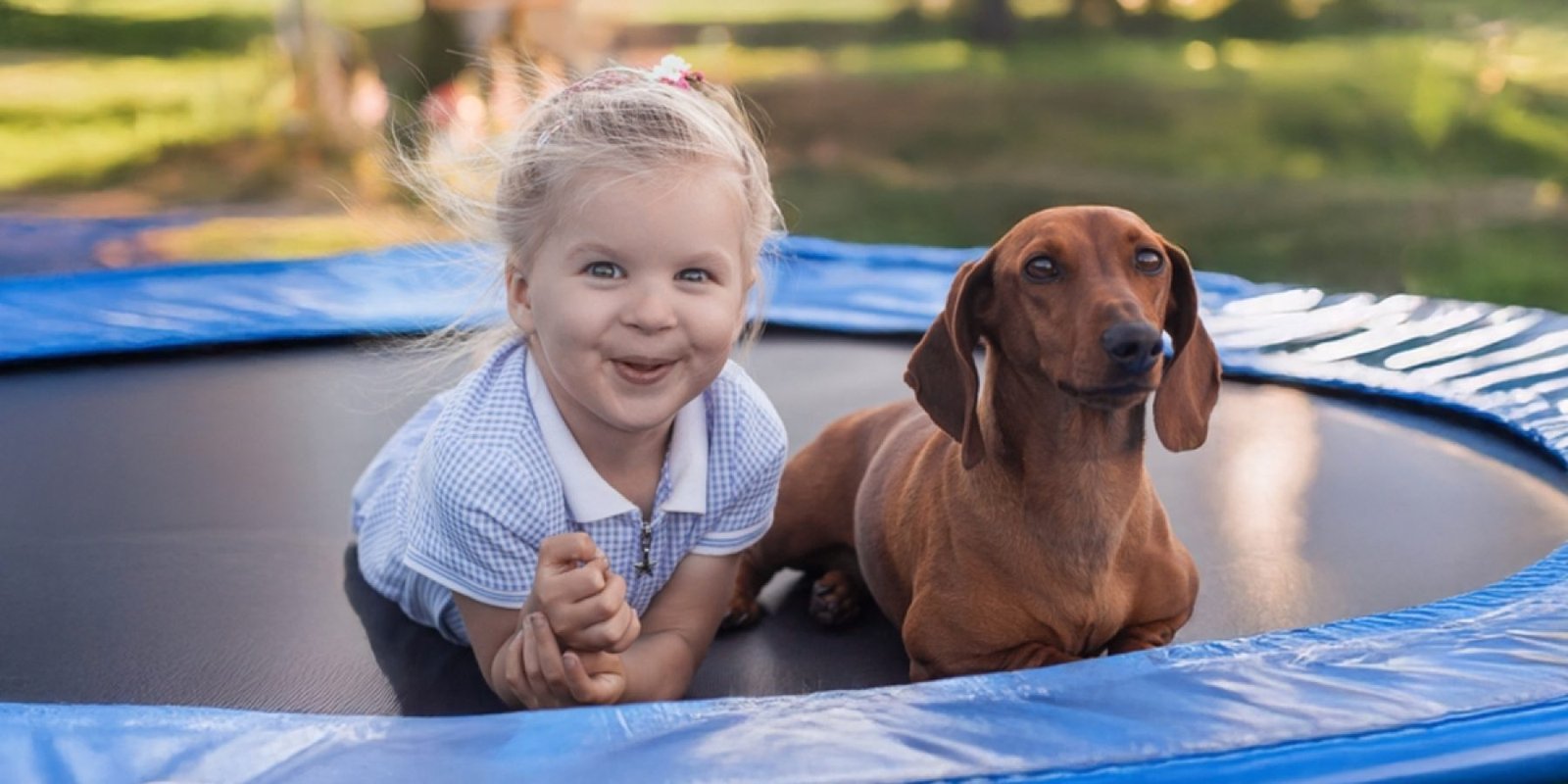 skylos shutterstock 2635996577 jpg