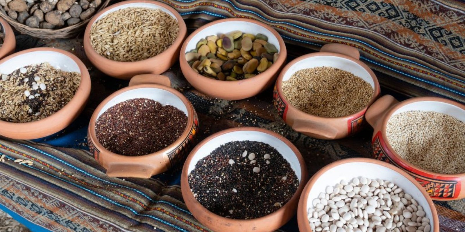 sporos magia sakcharo epidermida 1024x683 jpg