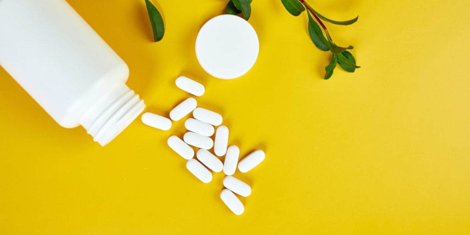 sympliromata fytikon inon 1024x683 jpg