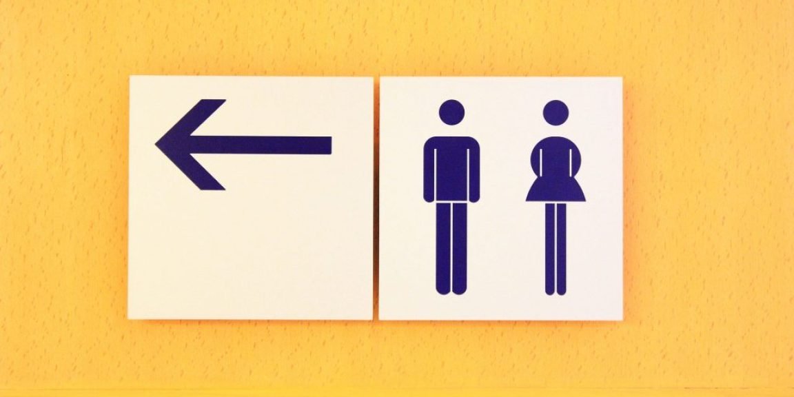 toyaleta lathos aimorroides 1024x683 jpg