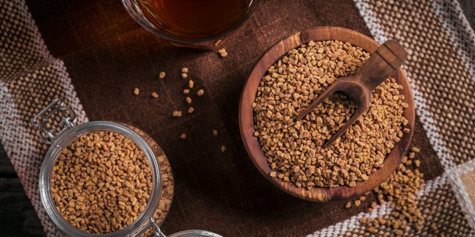 trigonella testosteronis sakcharo 1024x683 jpg