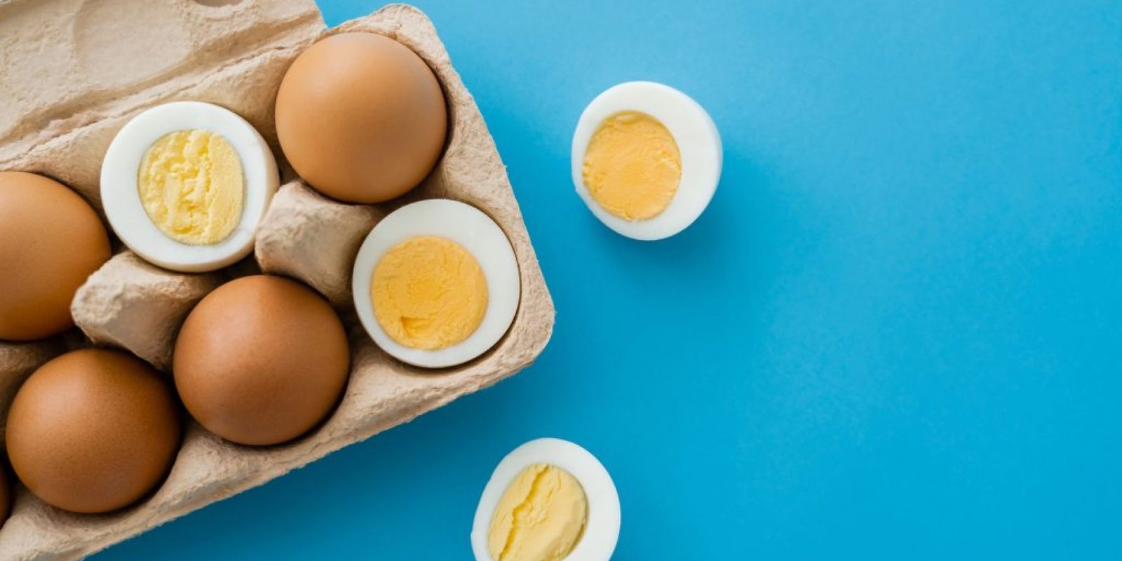 trofimo altzheimer 1024x683 jpg