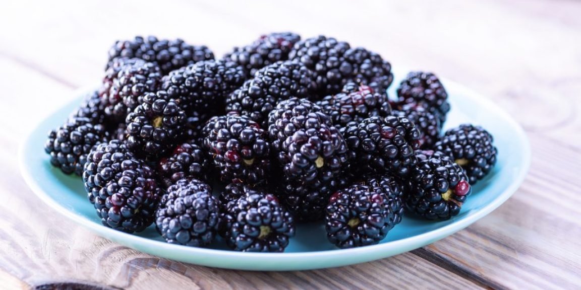 vatomoyro kardia sakcharo 1024x683 jpg