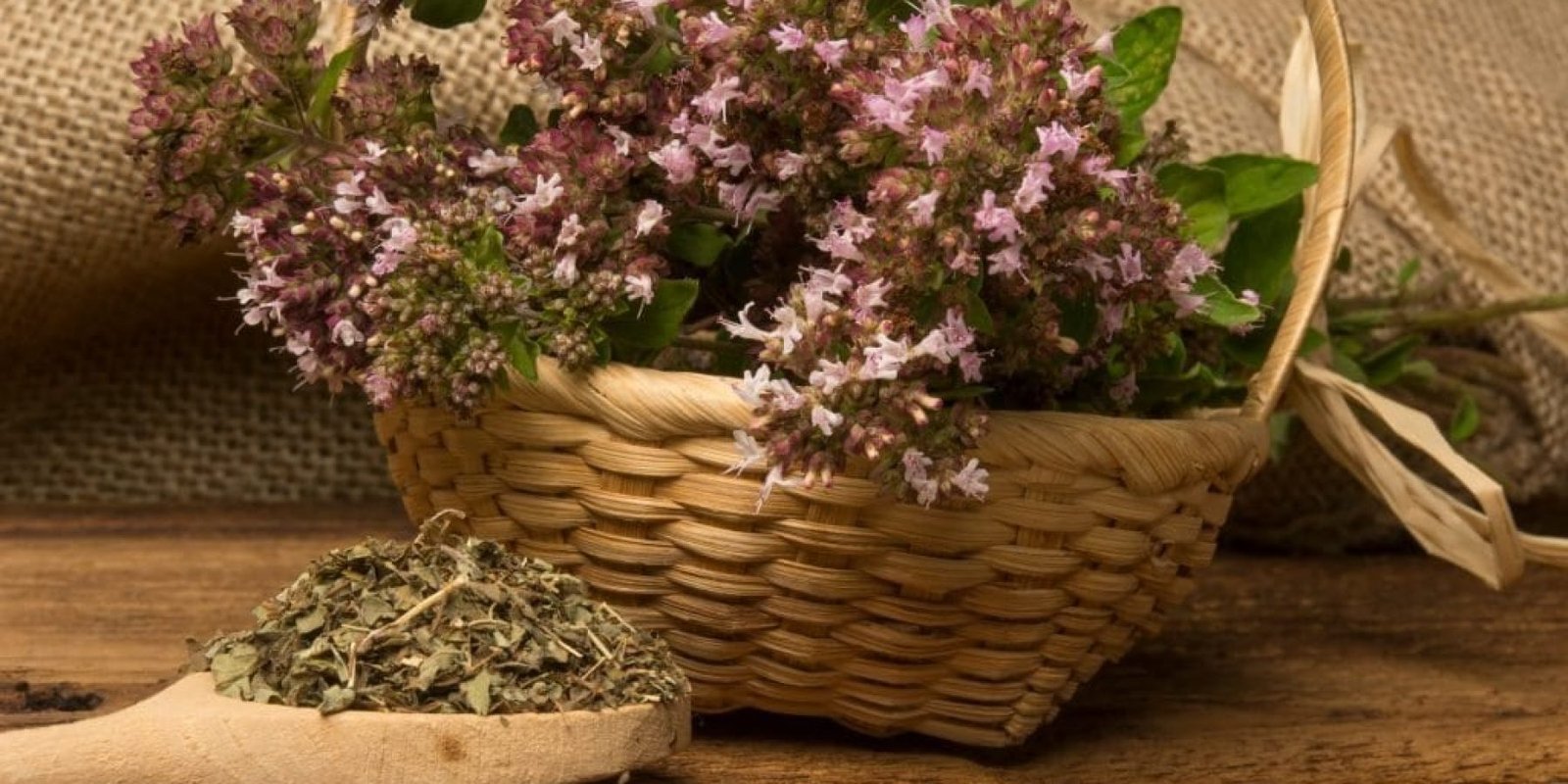 votano aroma elliniko paradeiso antioxeidotika flegmoni antikarkiniko 1024x683 jpg