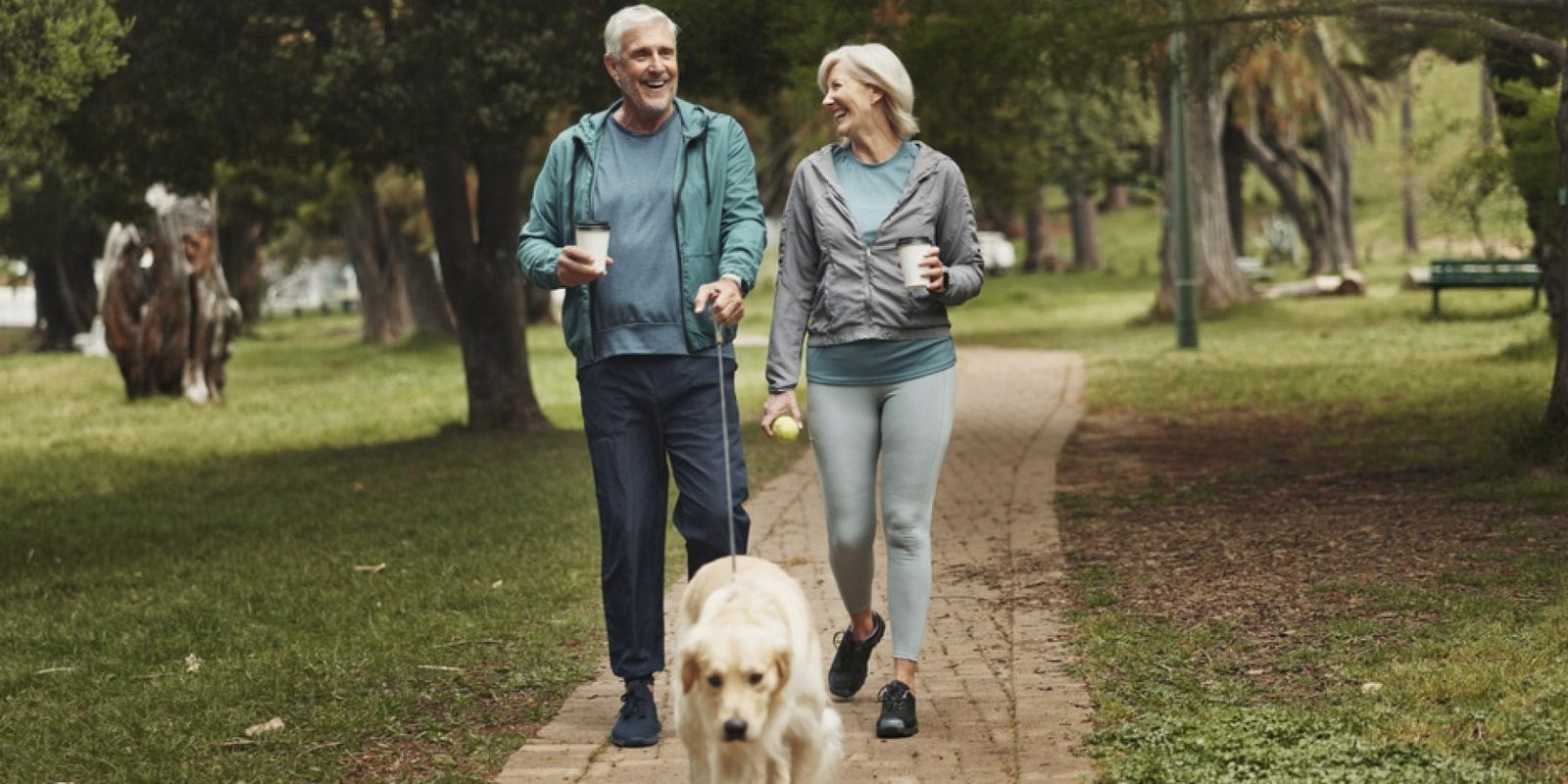 walking perpatima shutterstock 2546315919 jpg