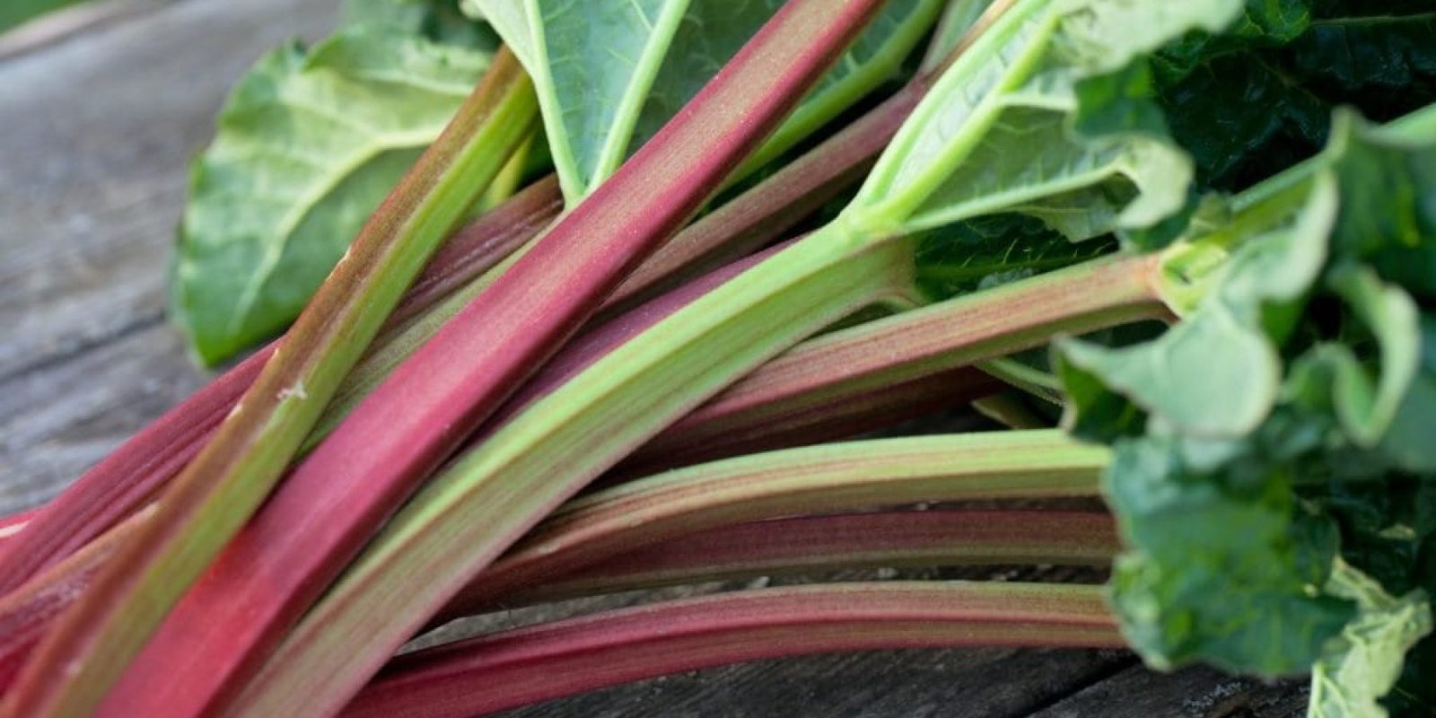 xino tragano lachaniko epidermida cholisterini antioxeidotika 1024x683 jpg