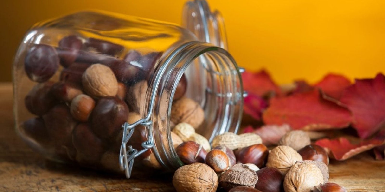 xiros karpos artiriaki piesi 1024x683 jpg