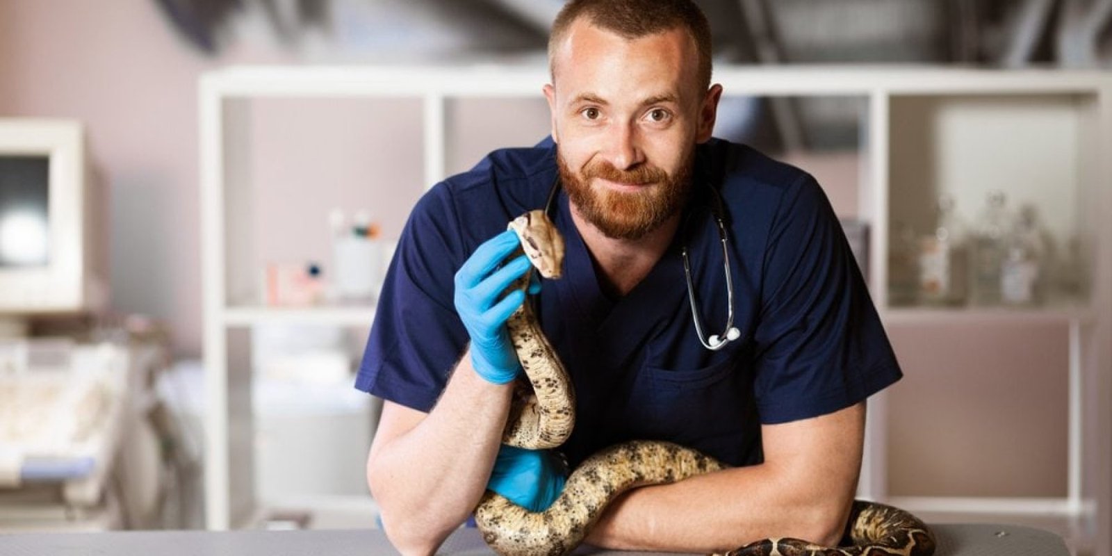 Αντίδοτο φιδιού Επιστήμονες αναπτύσσουν καινοτόμο λύση