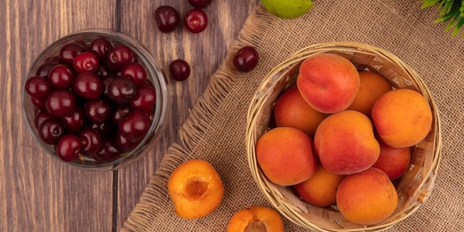 Αρμένικο Δαμάσκηνο Φυσική Προστασία για Συκώτι Έντερο και Καρδιά