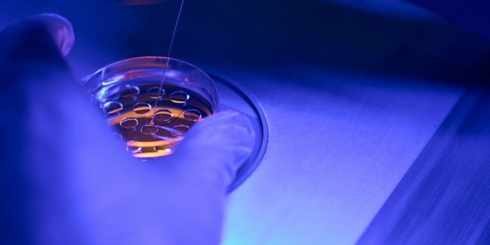 Γονιδιωματική Ανάλυση στην Κλινική Πράξη: CMA και NGS για Βέλτιστα Αποτελέσματα