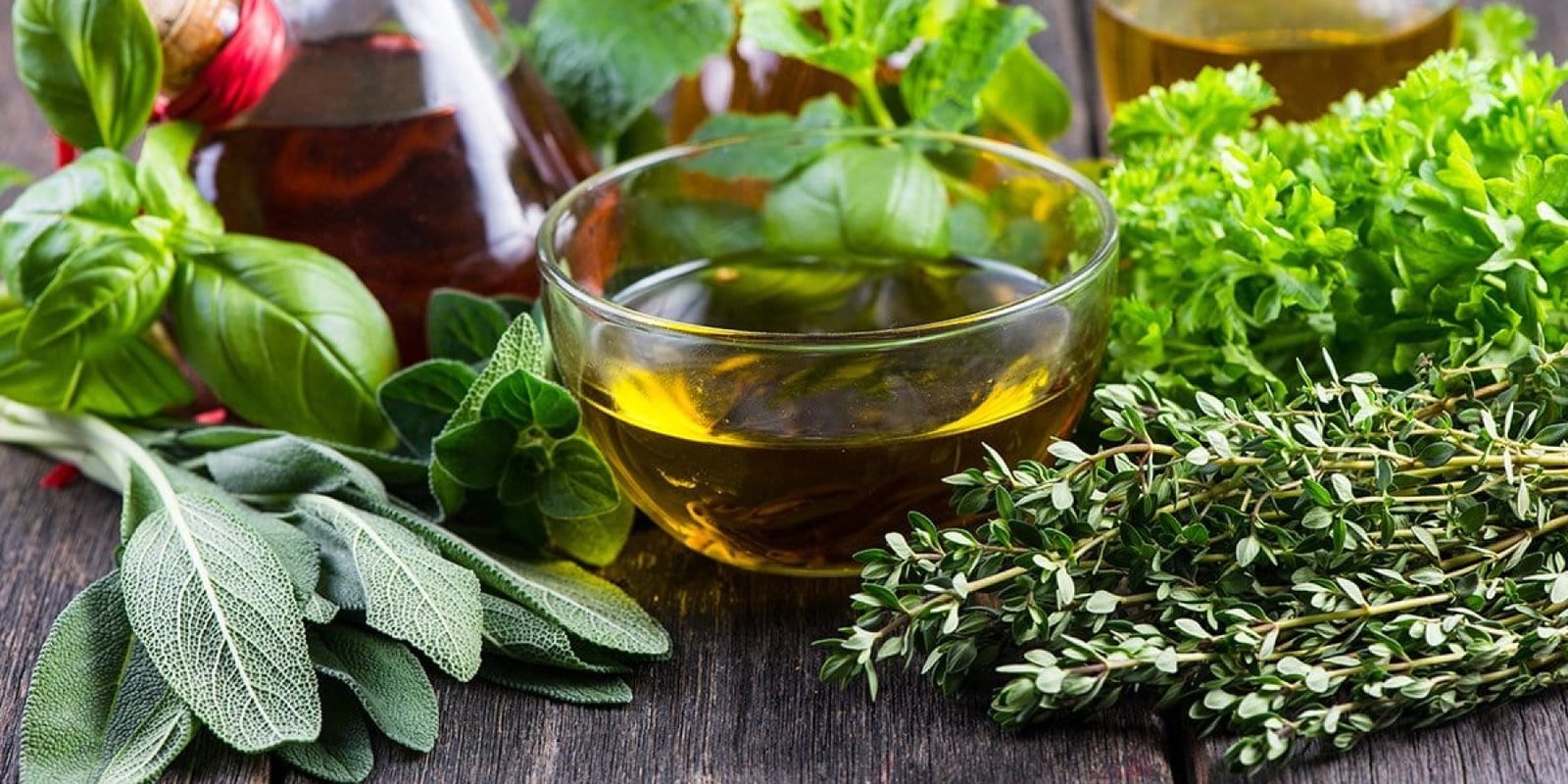 Δενδρολίβανο Ενισχύει τη Μνήμη και Προάγει την Υγεία