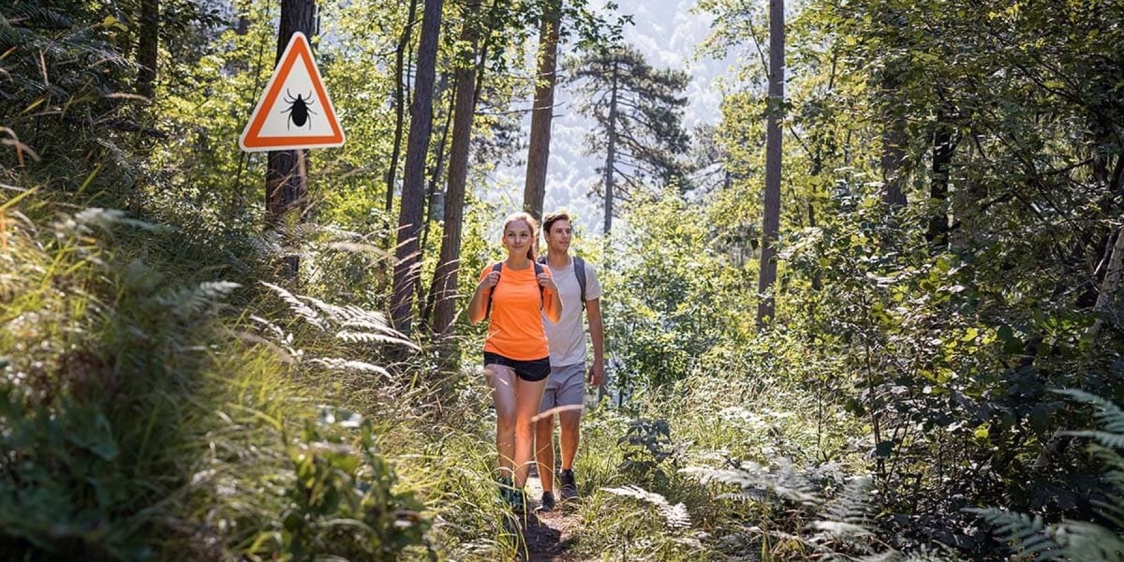 Εγκεφαλίτιδα Ανακαλύψτε τους Νέους Χάρτες του ECDC για Τσιμπήματα Τσιμπουριών