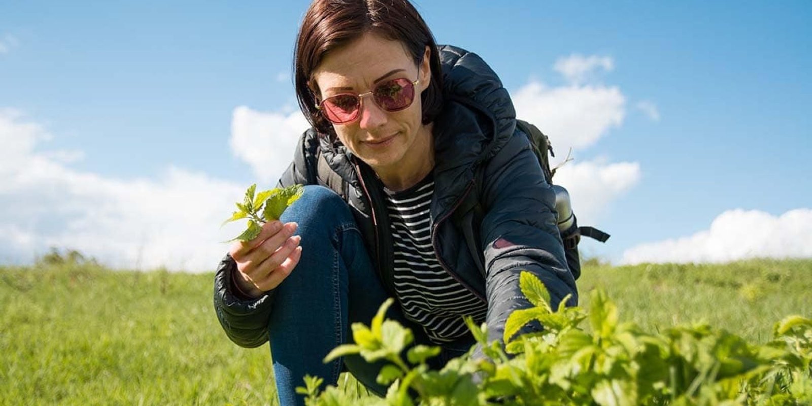 Νόσος Αλτσχάιμερ Το μπαχαρικό για καλύτερη μνήμη