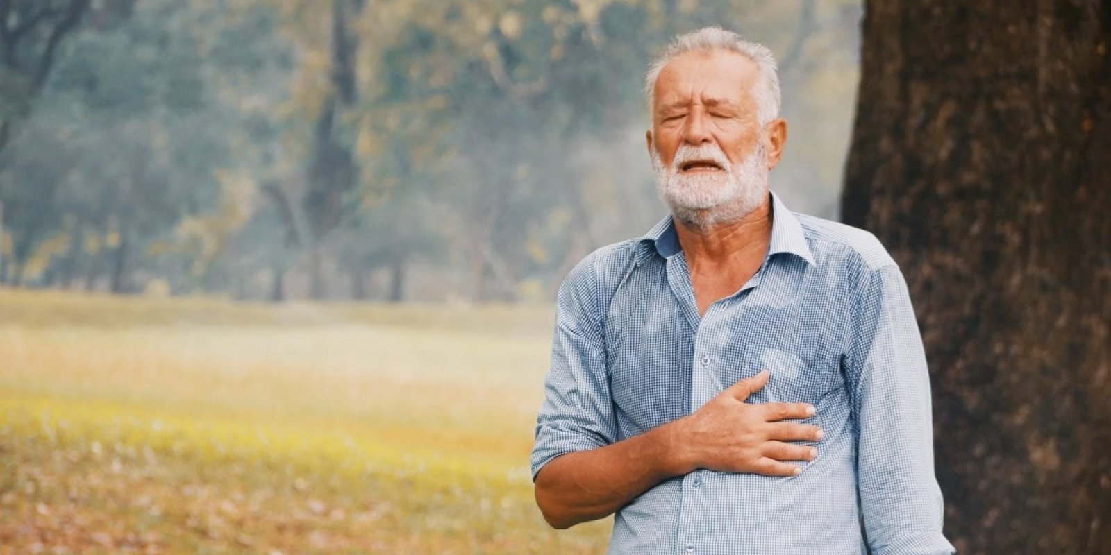 Προβλέψεις για τριπλασιασμό καρδιαγγειακών θανάτων έως το 2065