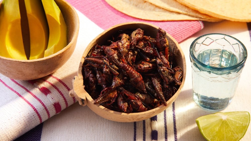 entoma insects shutterstock 2607964327 1 jpg