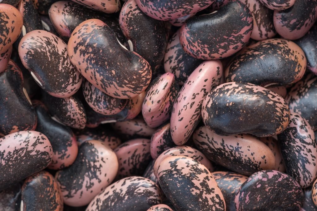 fasolia scarlet runner kardia antioxeidotiki 1024x683 jpg