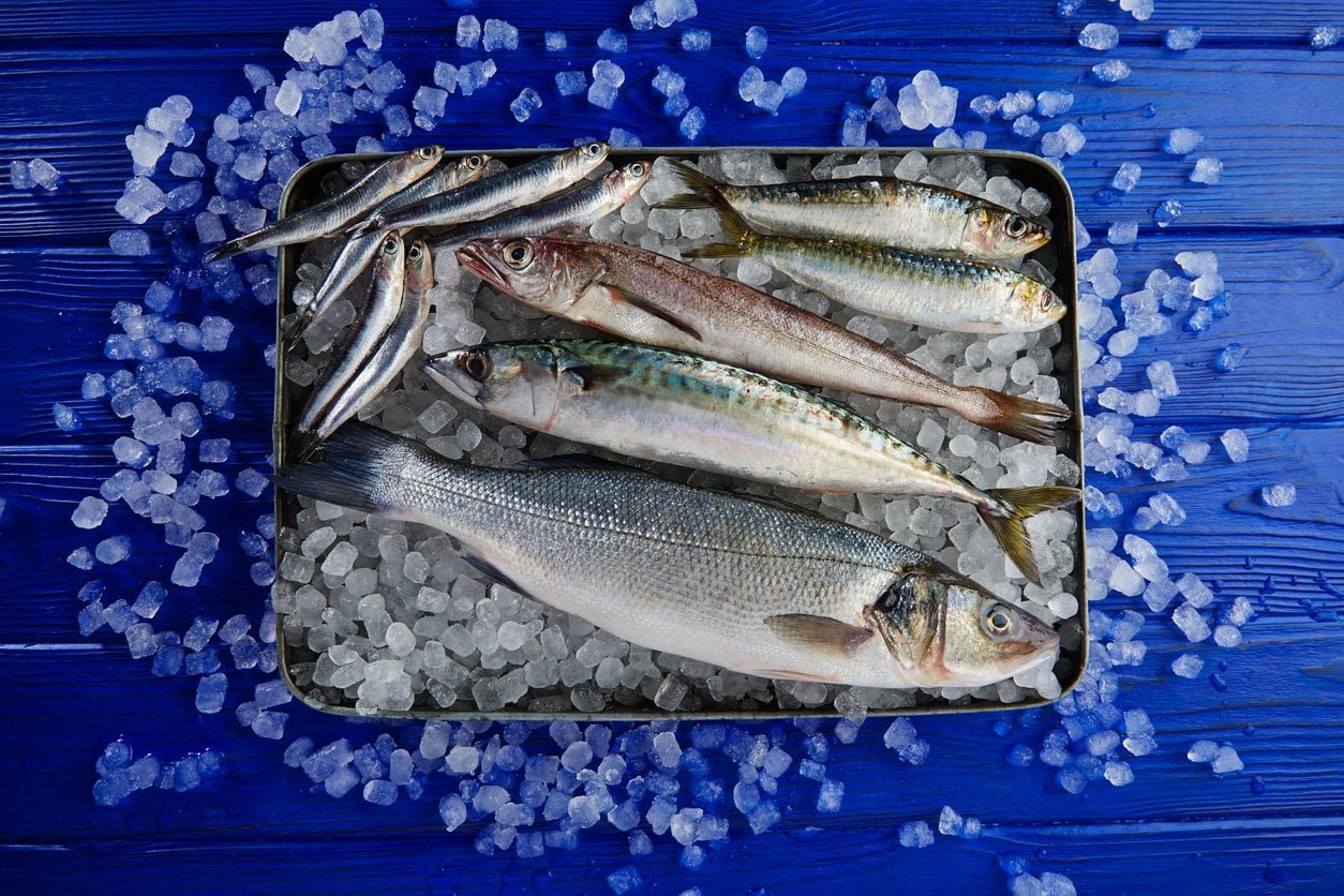 fish iStock 915626582 jpg