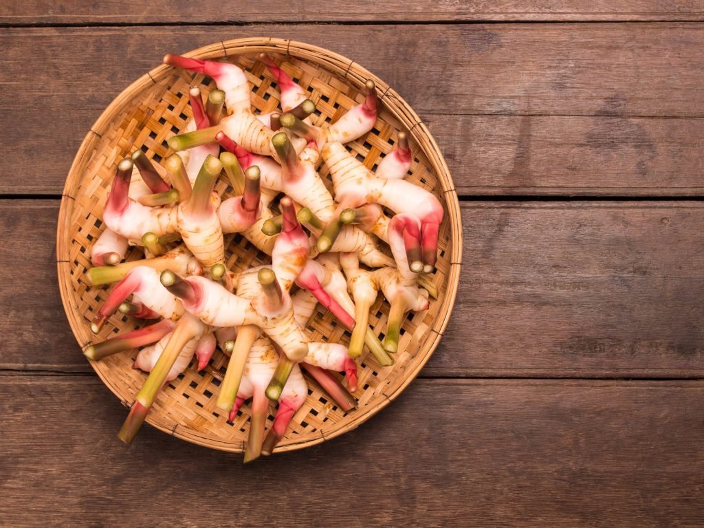 galangal kardia spermatozoaria 1024x768 jpg