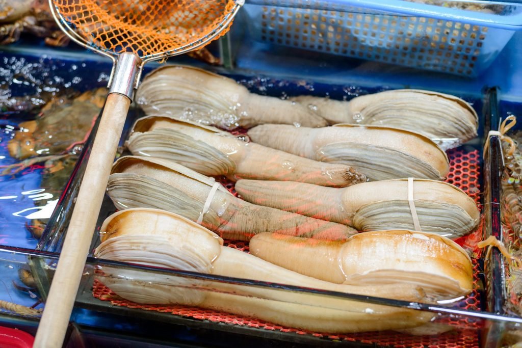 geoduck flegmoni kardia myalo myes 1024x683 jpg