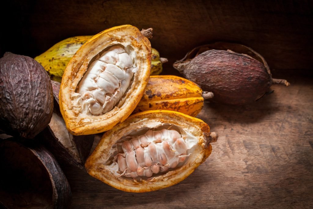 kakao metavolismo cholisterini 1024x683 jpg