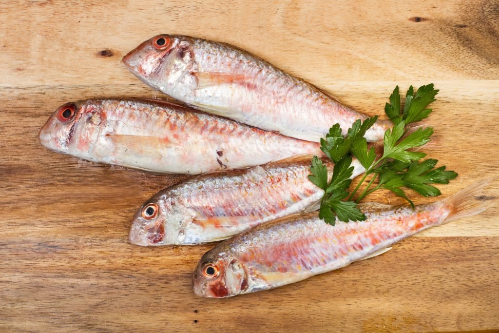 koytsomoyra kardia endokriniko 1024x683 jpg