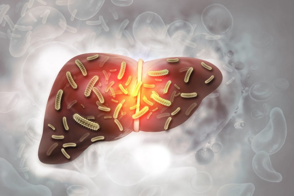 lipodis nosos toy ipatos 1024x683 jpg