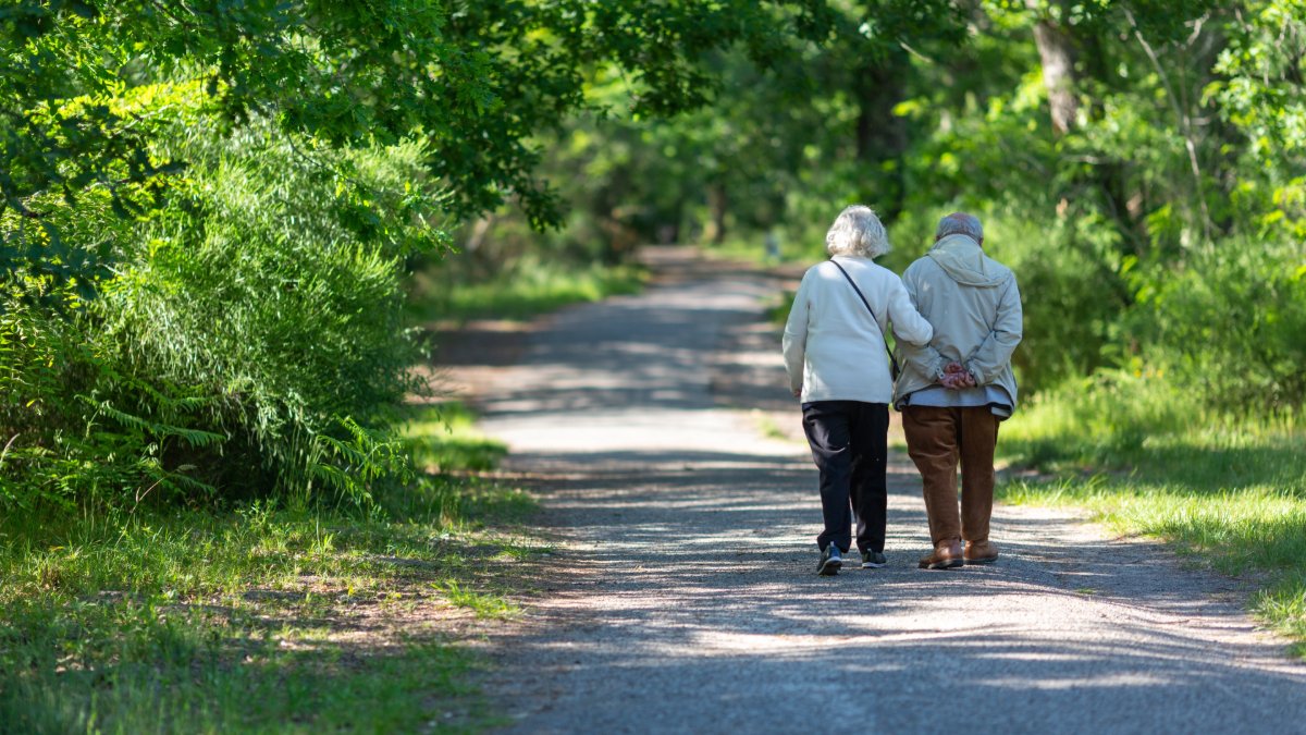 old couple walking shutterstock 2645702767 jpg