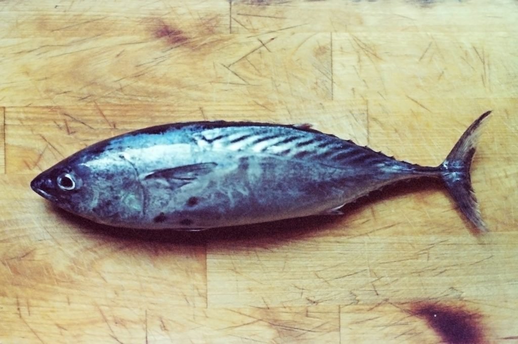 palamida antioxeidotika anosopoiitiko 1024x679 jpg