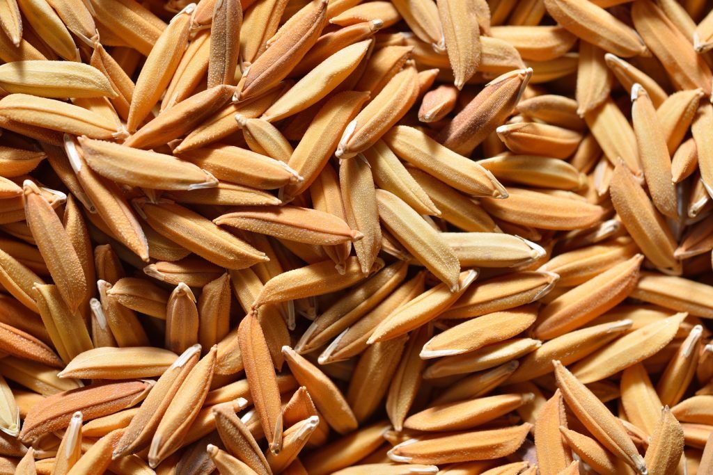 pitoyro ryzioy anosopoiitiko varos 1024x683 jpg