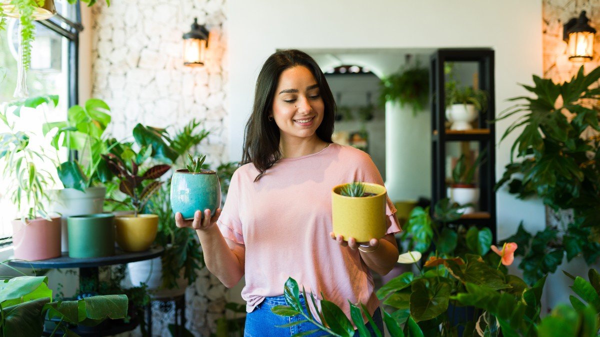 plant 2488719639 jpg